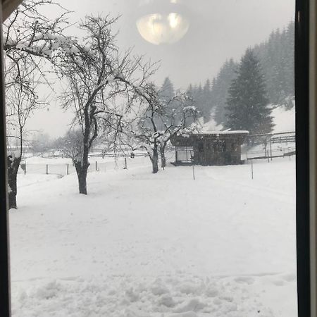 Shelest Vody Hotel Russkaya Mokraya Eksteriør billede